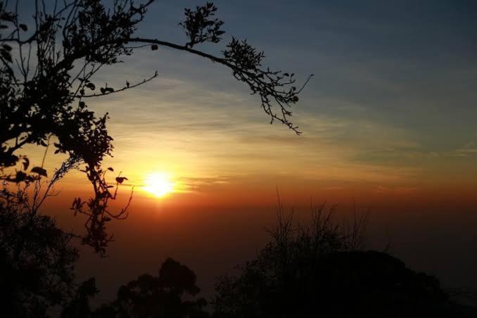 Praveen'S Wood House Kodaikanal Vattakanal Luaran gambar