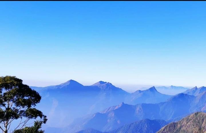 Praveen'S Wood House Kodaikanal Vattakanal Luaran gambar